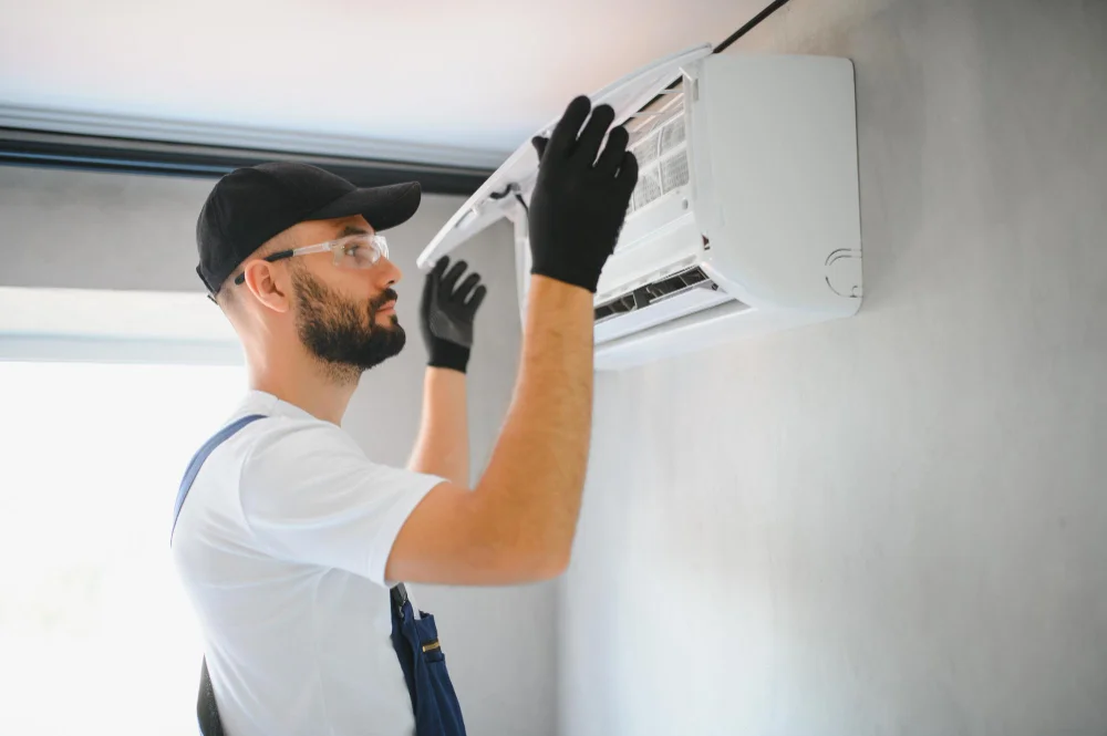 243672056_m-1024x681